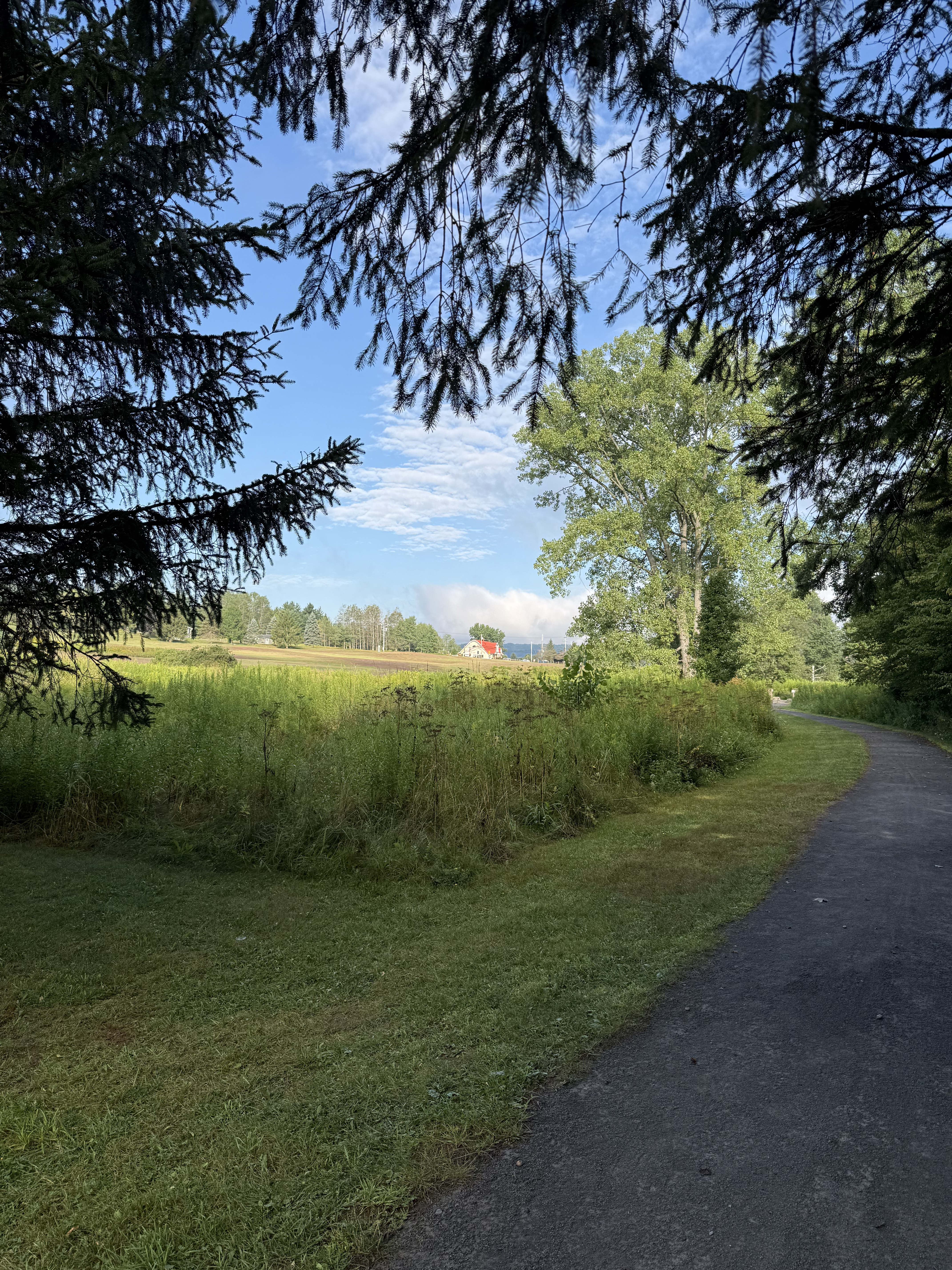 One morning, I walked a trail nearby, this is the view to the entrance of it